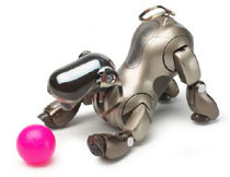 sony aibo dog
